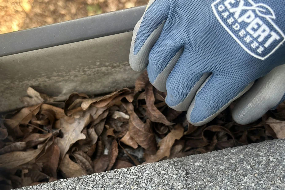 Arlington Gutter Cleaning