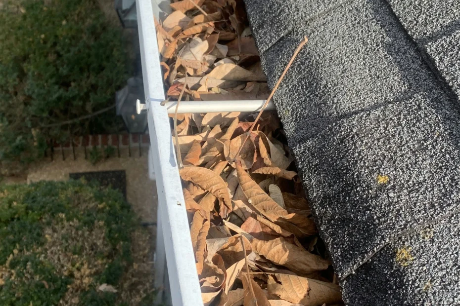 Arlington Gutter Cleaning