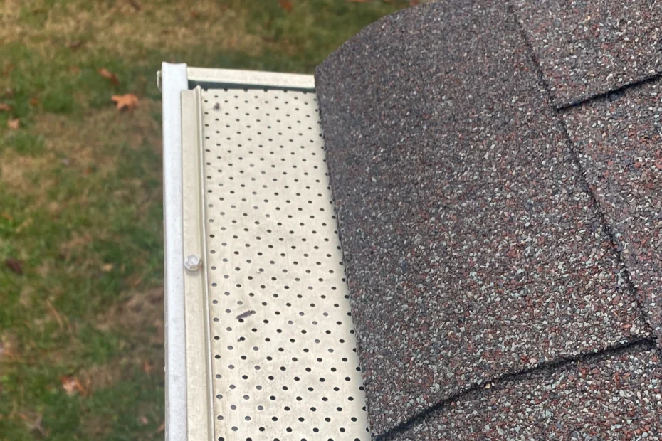 Arlington Gutter Cleaning